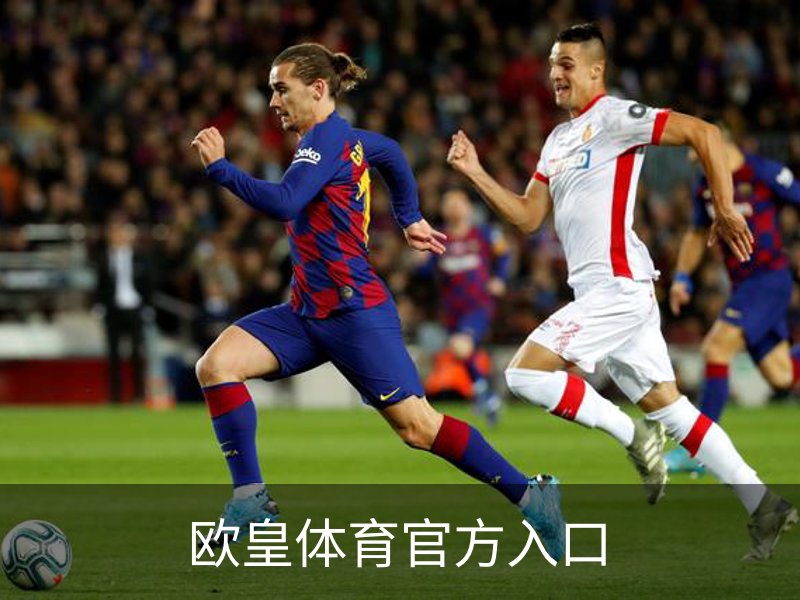欧皇体育官方入口简介