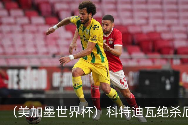 （美加墨世界杯）科特迪瓦绝杀厄瓜多尔 瑞典5:1大胜突尼斯